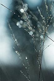 《仙剑奇侠传7》首个DLC为剧情向 不登陆NS  重制老游戏成本过高太难